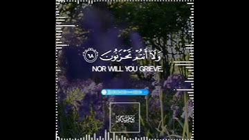 تلاوة هادئة تريح الأعصاب 😴🎧 القارئ: أحمد خضر سورة: الزخرف 💙❤