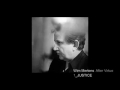 Wim Mertens After Virtue 1 Justice