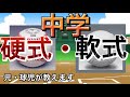 【中学野球】硬式・軟式どっちをやるべき？ #10