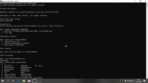 Laporan Praktikum Basis Data Modul 1