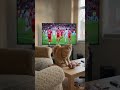 football vs Funny Cat watching football match dancing #cat #american #usa