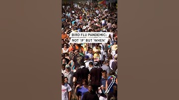 Bird flu pandemic - it’s ‘when’ not ‘if’