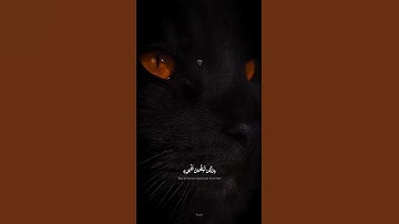 وإذ قال إبراهيم ربي أرني كيف تحي الموتى #quran #تلاوة_خاشعة #راحة_نفسية