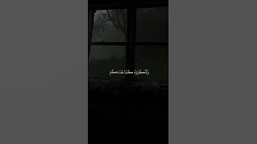 تلاوة مباركة خاشعة بصوت يلامس القلوب #اكسبلور #المصحف #حالات_واتس #القران #راحة_نفسية #خطبه #لايك