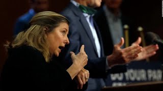 Deaf Americans are urging the White House to use sign language interpreters at coronavirus briefings