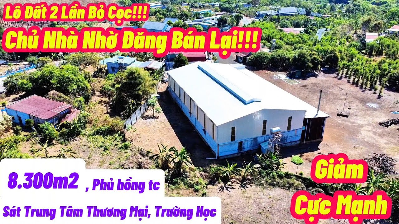 Lô đất bỏ cọc 2 lần, chủ nhà nhờ đăng bán lại!!! Gần 1hecta ngay khu Trung Tâm Thương Mại huyện cũ