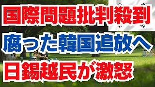 国際問題批判殺到 腐った韓国追放へ 日錫越民が激怒