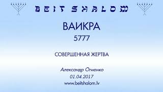 «ВАИКРА» 5777 «СОВЕРШЕННАЯ ЖЕРТВА» (А.Огиенко 1.04.2017)