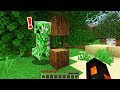 Minecraft But Blocks Spawns RANDOM MOBS..