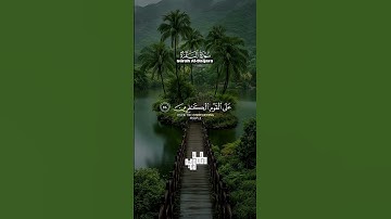 #أرح قلبك و سمعك بكلام الله 🍂📖🤍#القارئ محمد وجيه #القرآن الكريم #صوت مؤثر 3