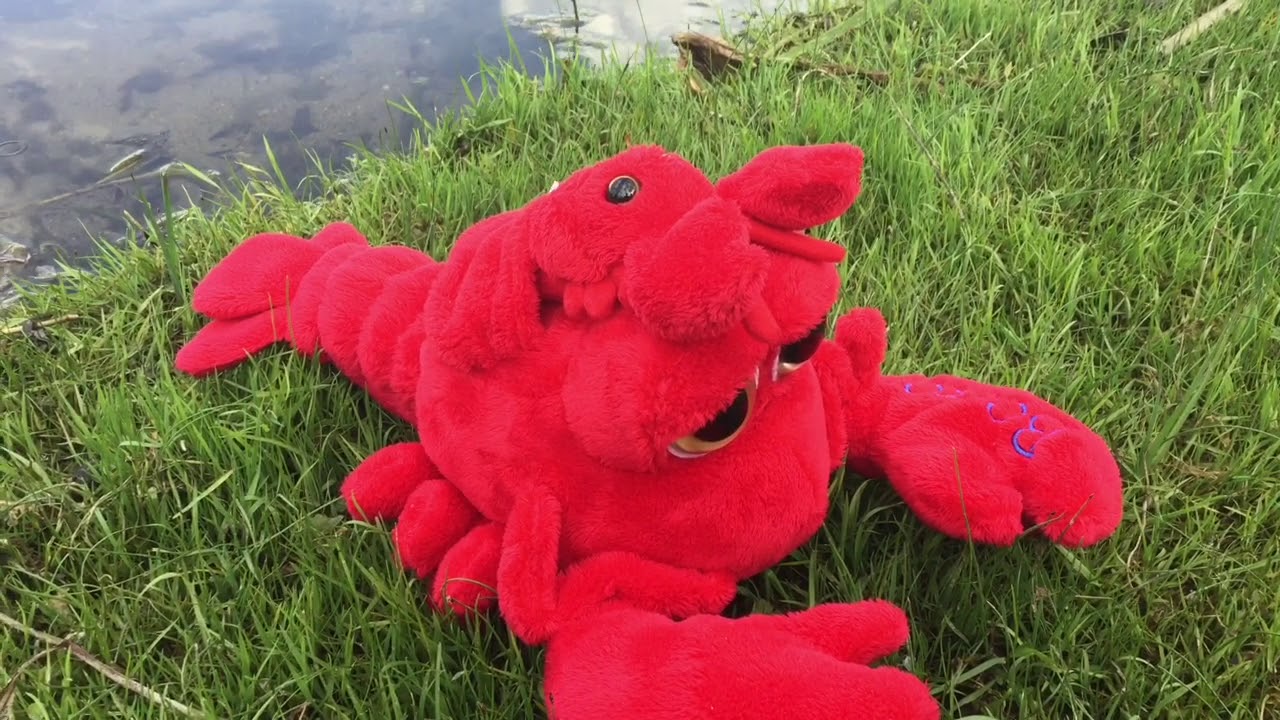 Lobster’s Family YouTube