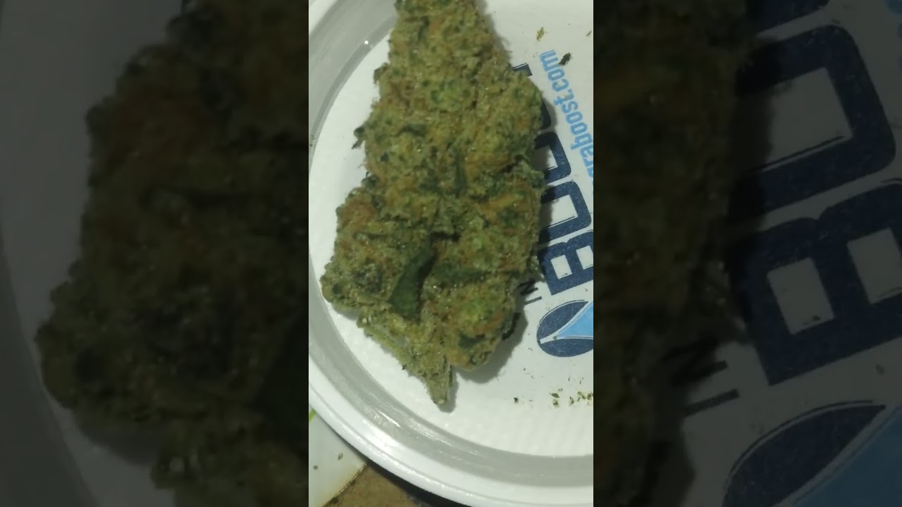 Stoney Branch Mystic Mountain Blueberry & Mac V2 are BOOF | THCA HEMP FLOWER REVIEW 