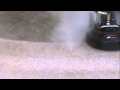Ionic Fresh Carpet Cleaners South Bend