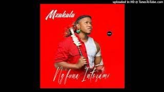 Mzukulu - Firefighter (feat. Shisamabhodwe)