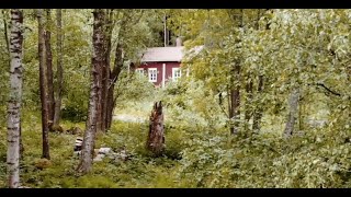Oiva Toikka (1931-2019) - The small miracles of nature live forever