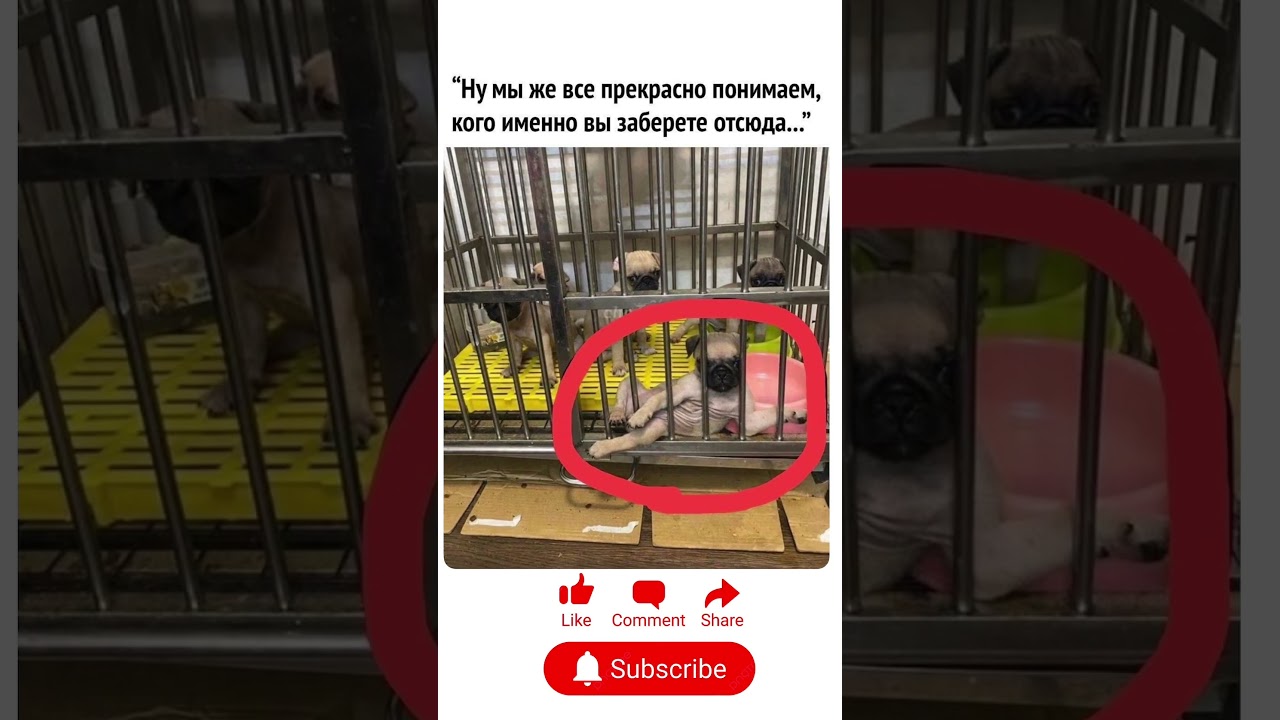 ПОДПИШИСЬ❤️