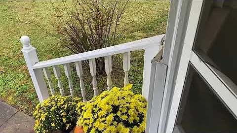 Yard Tour with Updates