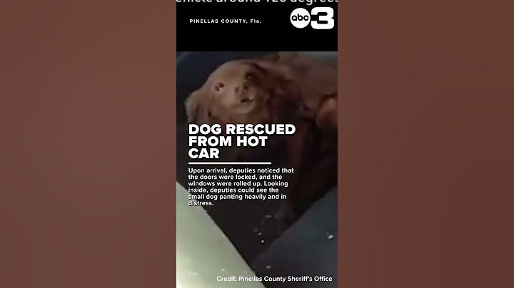 Dog rescued from hot car