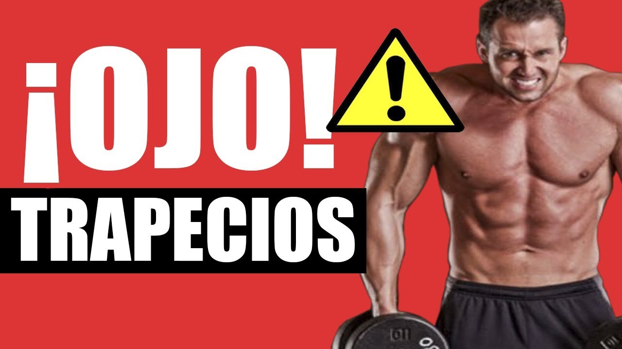 Trapecios musculos ejercicio