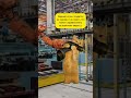 Новый способ заработка на коротких видео