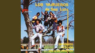 Video thumbnail of "Los Vaqueros de San Luis - Tu Delirio"