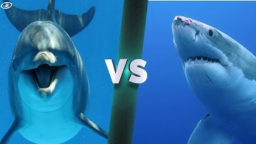 Smart Step Grammar_BK3 Review Test D