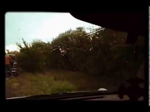 ძლიერი სეტყვა (კოხი)  ქსანი