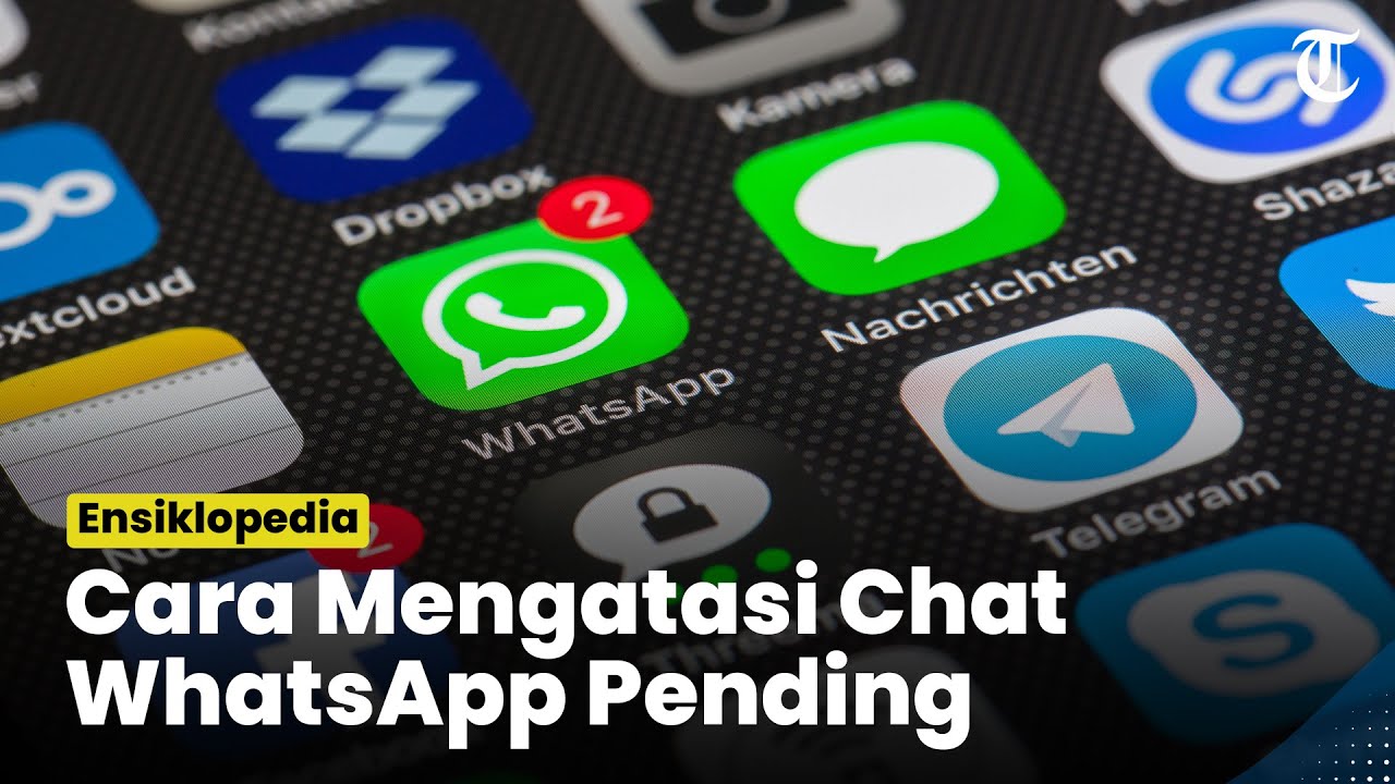 Cara Mengatasi Chat WhatsApp Pending Padahal Sinyal Bagus, Cek Koneksi