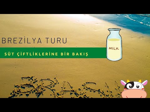 Brezilya’daki süt çiftliklerine Dr. Ramos ile bir bakış