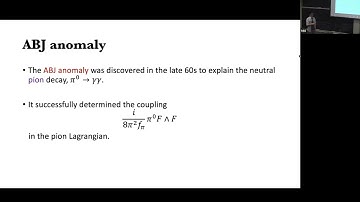 HEP Seminar - Non-invertible Symmetries in Nature