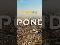 Tum eid manana accha se🤲🤲😥😰 #islamicvideo #viralvideo #trending #islam #islamicstatus