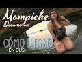 🏝Cómo llegar a DECAMERON  MOMPICHE en Bus 🚌 desde Quito