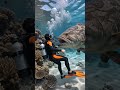 Underwater Beast Attacks Diver Caught on Camera #viralvideo #divng #ocean
