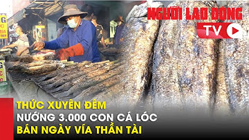 Xuyên đêm nướng 3.000 con cá lóc để bán trong ngày vía Thần Tài | Người Lao Động TV
