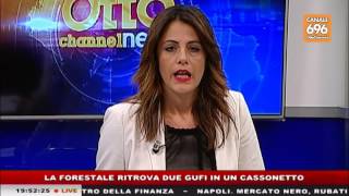 TG NEWS 20161222 1945