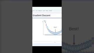 Celebrity Concept of Optimization in Deeplearning Net Worth