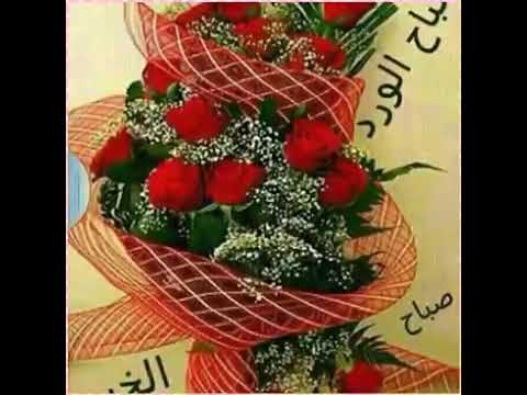 فمن يعمل مثقال ذره خيرا يره ومن يعمل مثقال ذره شرا يره 2