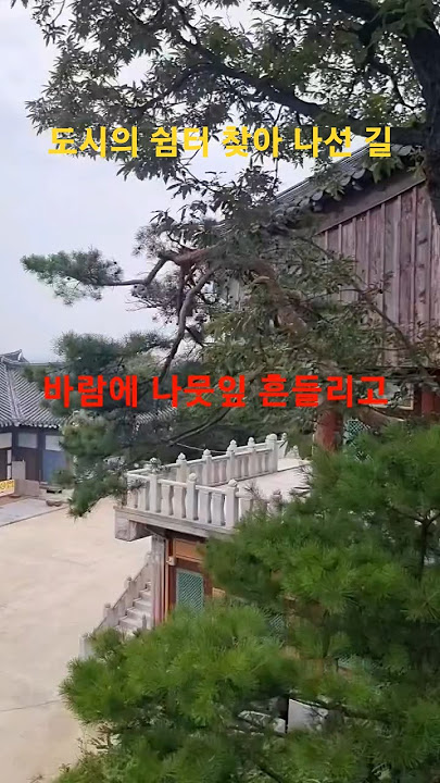 경기 안양 망해암에 올라 /고요한 망해암의 자연 소리를 듣다#shorts