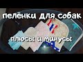 Почему многоразовые пелёнки для собак лучше одноразовых?