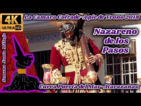 Real, Ilustre y Venerable Hermandad Sacramental de Nuestro Padre Jesús Nazareno de los Pasos en el Monte Calvario y María Santísima del Rocío Coronada