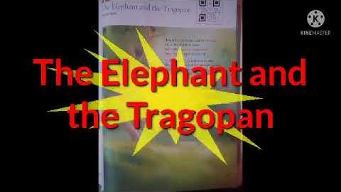 The Elephant and The Tragopan