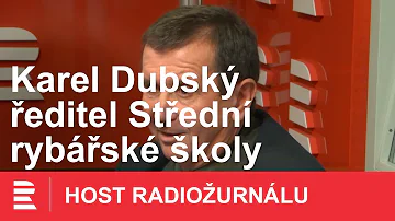 Co jsou dravé sladkovodní ryby českých rybníků?
