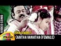 Antha vanatha pola song  female version  chinna gounder movie  vijayakanth  ilayaraja