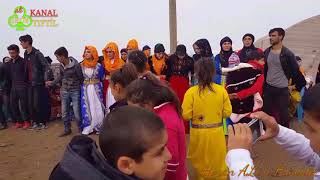 Duzo Tifti̇l.daweta Mala Vehit