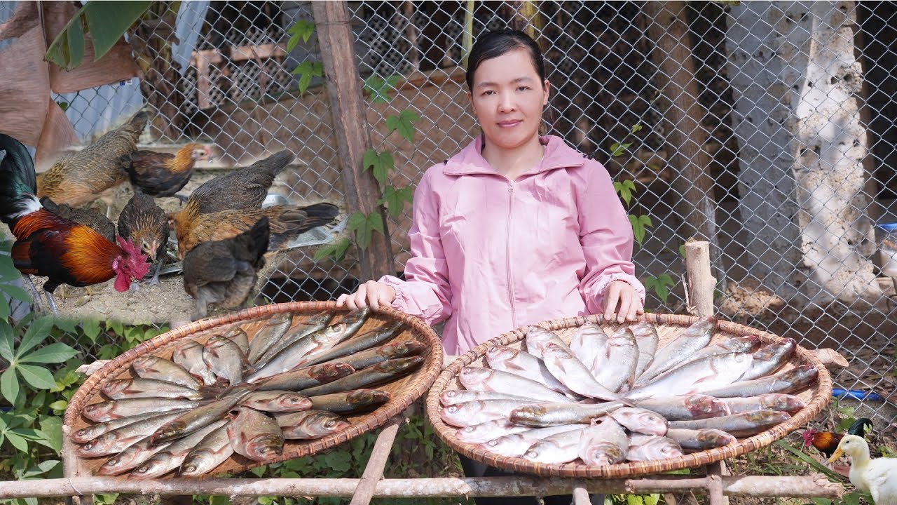 Nutritious fresh fish feast for Wild Chickens. Amy village life YouTube