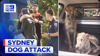 Chopper saves woman, dog who were attacked by two Irish Wolfhounds | 9 News Australia