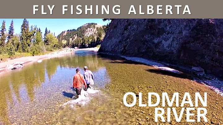 Fly Fishing an Alberta River for Big Rainbows and ...