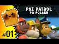 Psi Patrol Po Polsku | PAW Patrol: Rescue Run HD | Nickelodeon