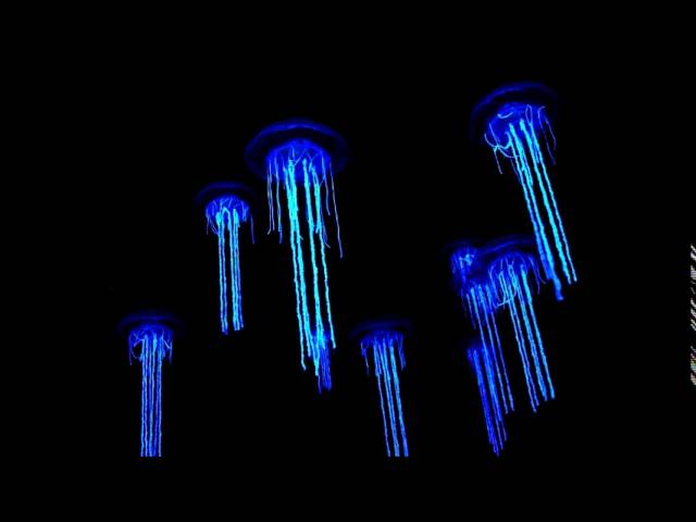 Watch Mind Over Midi-magnetron on YouTube Watch Mind Over Midi-magnetron on YouTube