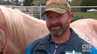 Veterans' PTSD Dramatically Declines with Horse Therapy